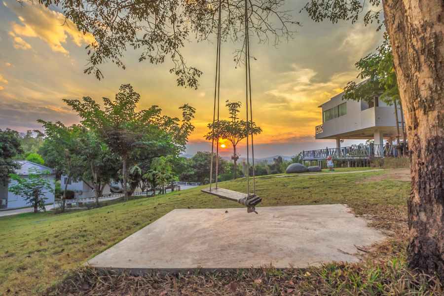 gray swing on tree photo during sunest