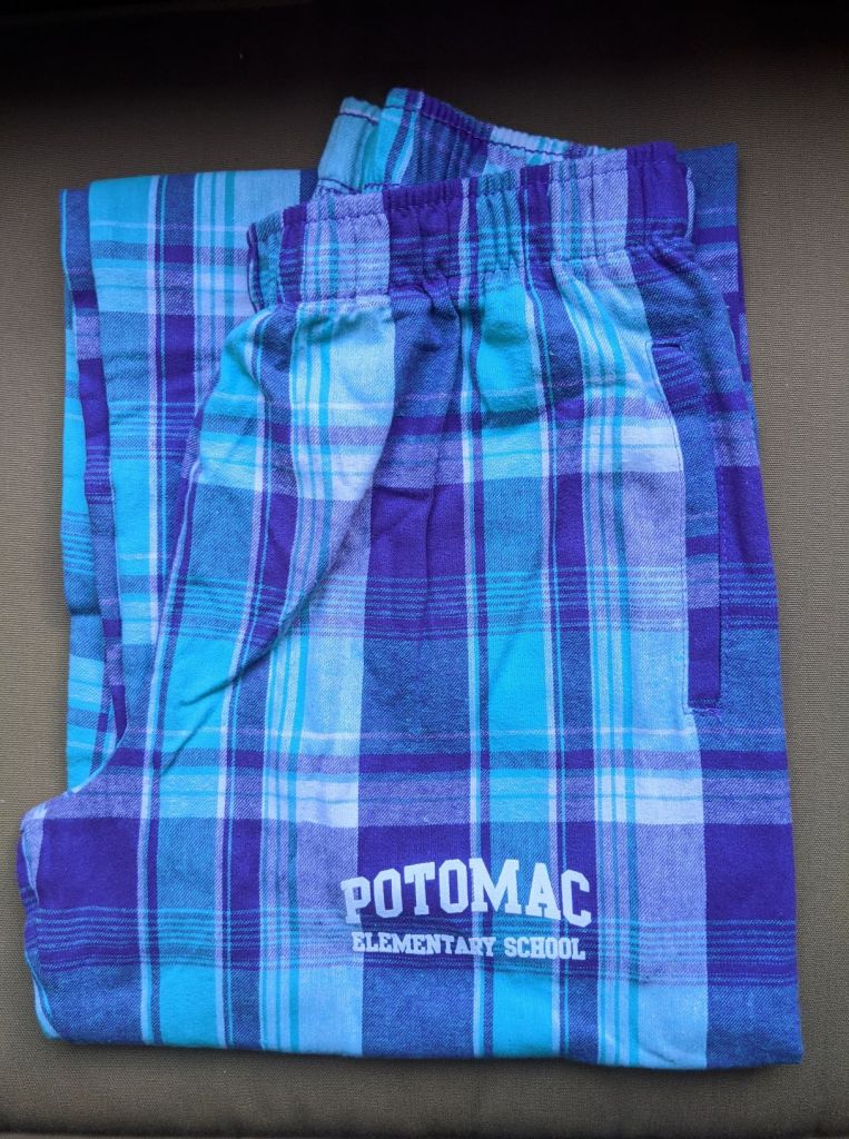 Teal Flannel Pajama Pants